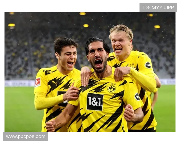 [德甲]第16轮：多特蒙德2-3勒沃库森 集锦.